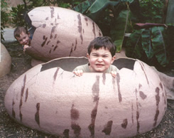 Hatched from Dinosaur Eggs