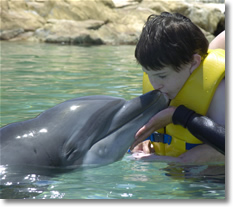 Matthew's Make-a-Wish Trip: Swim with the dolphins